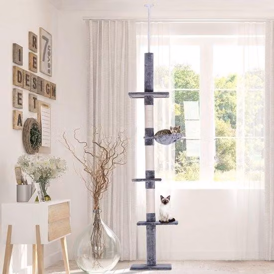 Struttura per gatti con albero da arrampicata, da pavimento a soffitto, L 40 x P 34 x A 230-260 cm, 5 livelli di attività, grigio