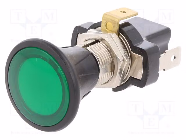 1x Interruttore estratto, modello A3-30L3B-01, posizione 2, colore verde, 10A/14VDC