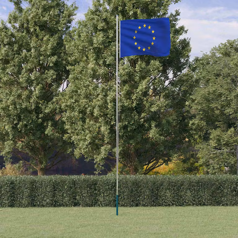 Asta e Bandiera Europa vidaXL in Alluminio e Poliestere, Lunghezza: 6,08 m, Colore: Argento e Multicolore