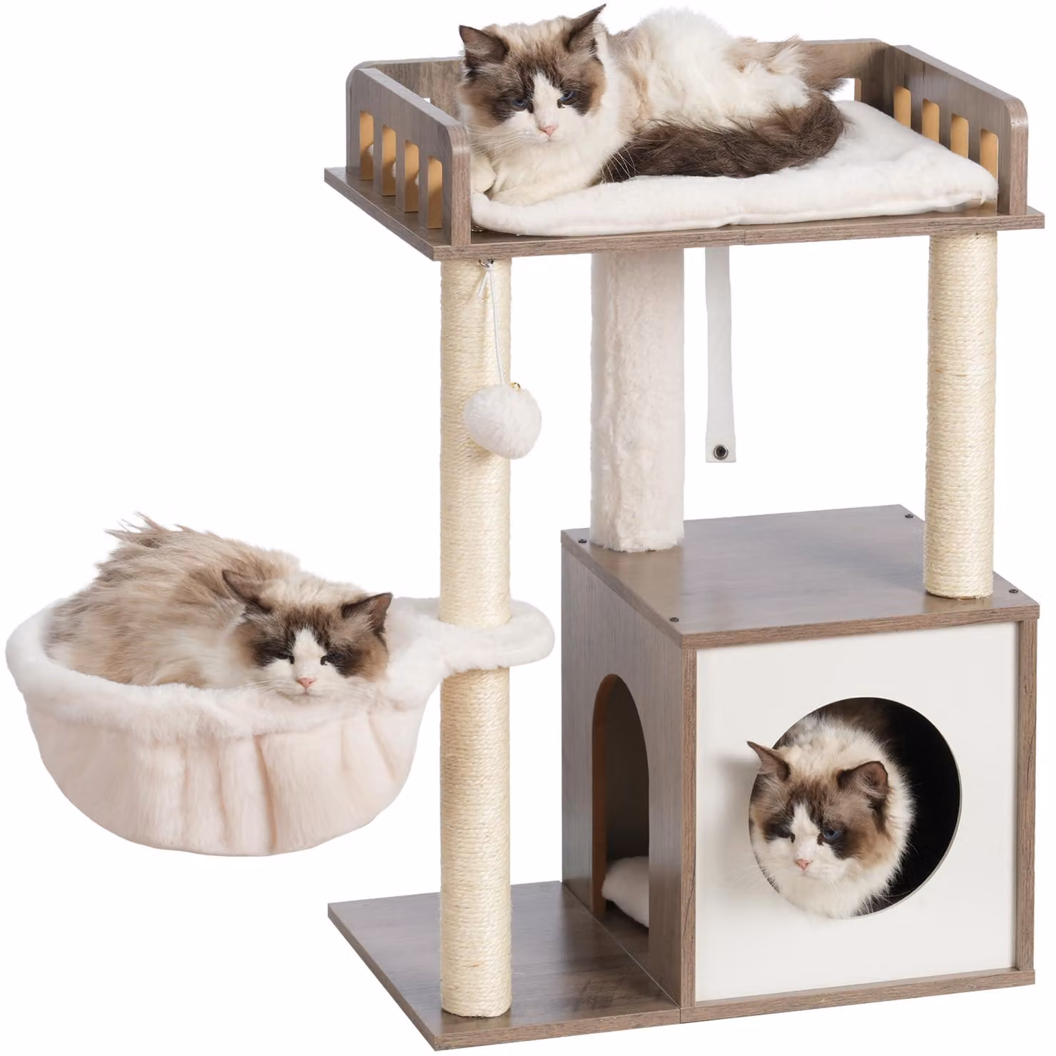Albero per gatti Kratzbaum, dimensioni 30x50 cm, struttura in legno, con 2 pali in sisal, colore grigio