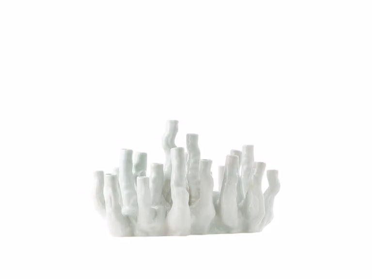 Coral Reef Vaso