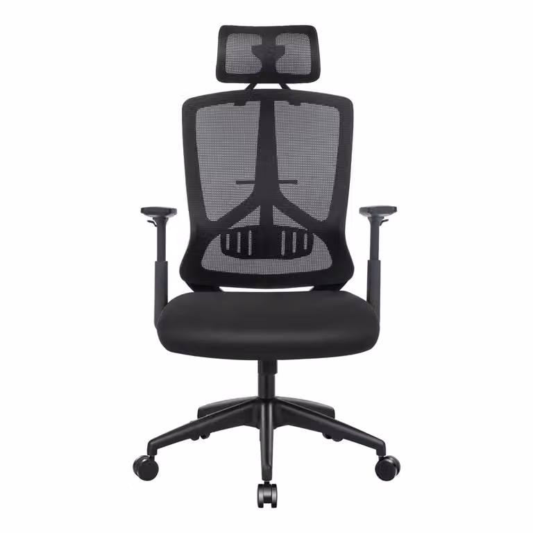 Sedia da Ufficio in Rete