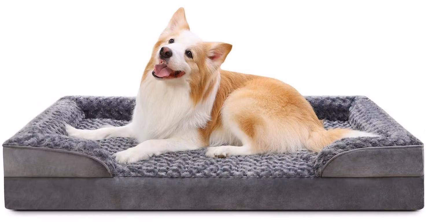 Cuccia ortopedica per cani, taglia XL, grigia, dimensioni 105x70x18 cm. Rivestimento removibile, lavabile e impermeabile