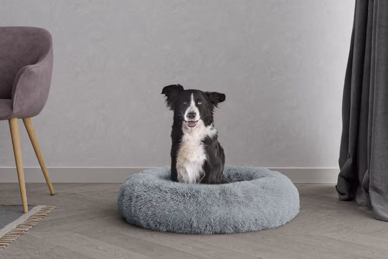Solidchoice - Cuccia per animali in poliestere morbido con bordi rialzati e decorazioni a perline, 70 x 70 cm