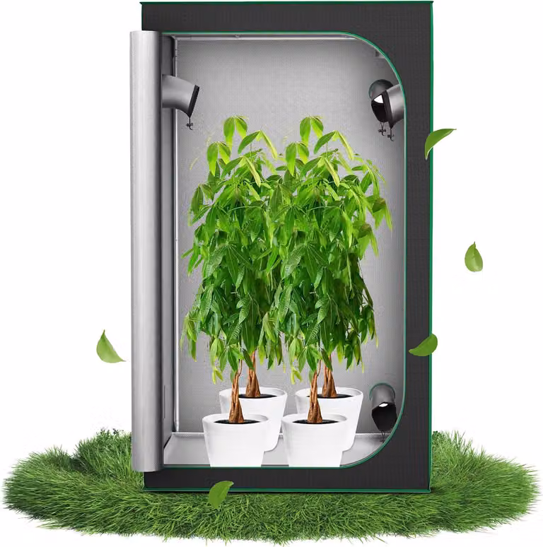 QEENTOE, tenda di coltivazione da interno 120x120x200 cm, ideale per la coltivazione di ortaggi ed erbe aromatiche, struttura per la coltivazione di piante in ambiente controllato
