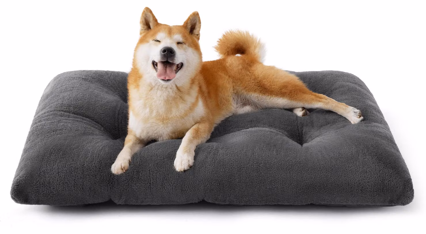 Cuccia lavabile per cani di grossa taglia - Grigia
