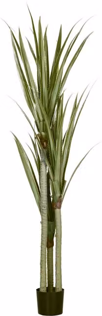 Pianta artificiale Yucca HOMCOM verde con 39 foglie in vaso di cemento e PEVA, Altezza: 190 cm – 1
