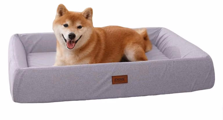 Cuccia ortopedica per cani, divano ergonomico per cani, 89x67 cm, colore viola