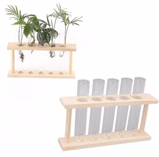 Vasi trasparenti in vetro per piante, set da 5 pezzi - struttura in legno - terrario con supporto - accessorio per la casa - dimensioni: 22 x 12,5 x 4,5 cm