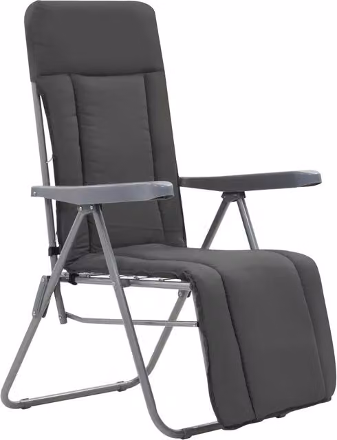 Sedie da Giardino Pieghevoli con Cuscino 2 pz | Sedie da Esterno Grigio