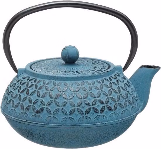 Teiera in ghisa Secret de Gourmet con filtro in acciaio inox rimovibile, capacità 1 l, blu e grigio