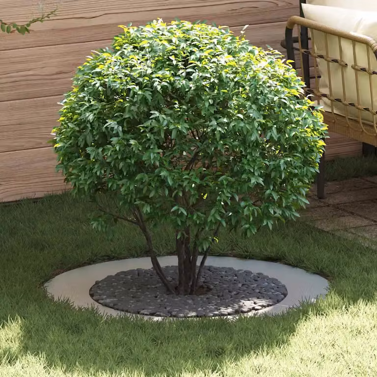 Set di 5 anelli d'albero piatti vidaXL in acciaio zincato argento Ø 90 cm