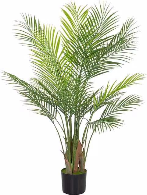 Pianta artificiale da interno HOMCOM, albero di palma verde con vaso in plastica, Altezza: 120 cm