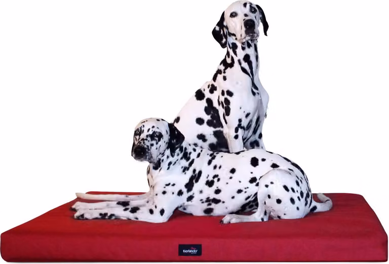 tierlando® Materasso ortopedico per cani ALICE VISCO Tappeto per cani Letto per cani S - XXL - Dimensioni: 80x60cm | Colore: 04 Rosso scuro