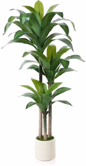 Dracaena Fragans Tropica 150cm, Pianta Artificiale Grande, Pianta di Plastica, Decorazione di Interno e Esterno (1 Pacchetto)