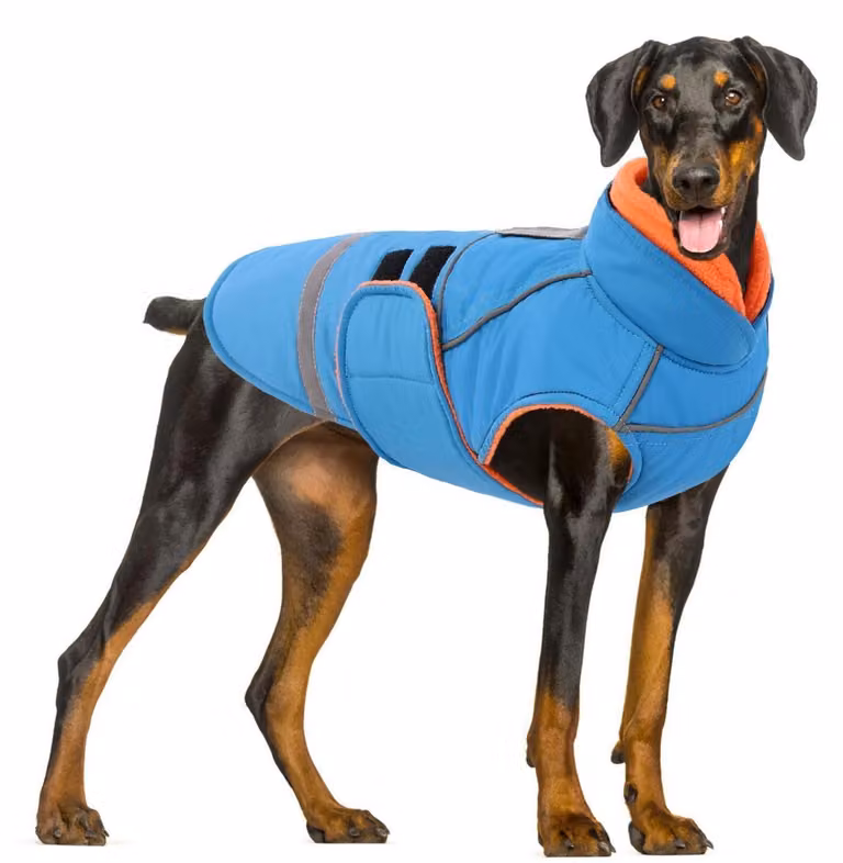 Cappotto impermeabile per cani, con apertura per guinzaglio, colore blu, taglia XL