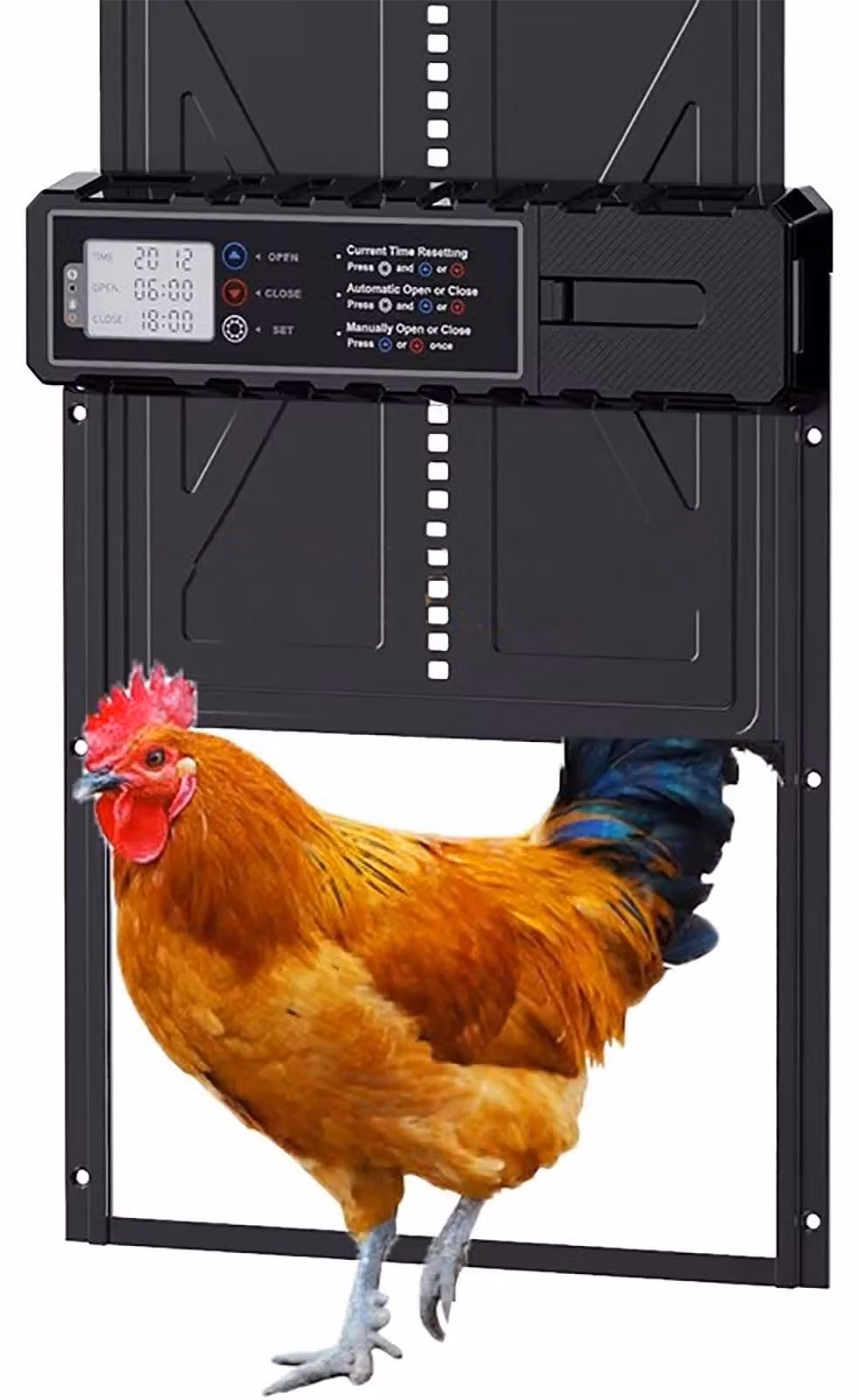 Porta automatica per pollaio, alluminio bianco - Con timer e display LCD - A basso consumo energetico - Impermeabile
