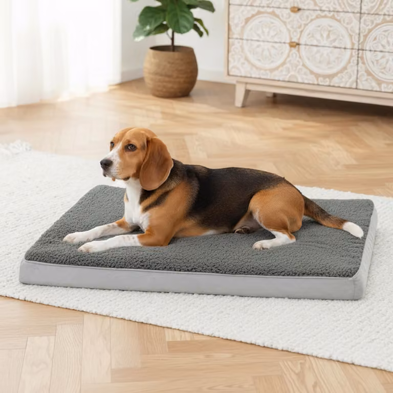 materassino per cani belviona, materassino morbido e stabile con rivestimento lavabile, 91x69x8 cm, antracite