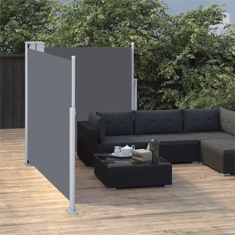 The Living Store Tenda laterale estensibile antracite 100 x 600 cm