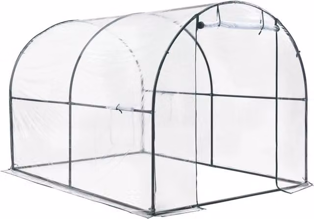 Serra a tunnel Grünwald in acciaio e PVC trasparente con finestra, L/P/H: 200 x 300 x 190 cm