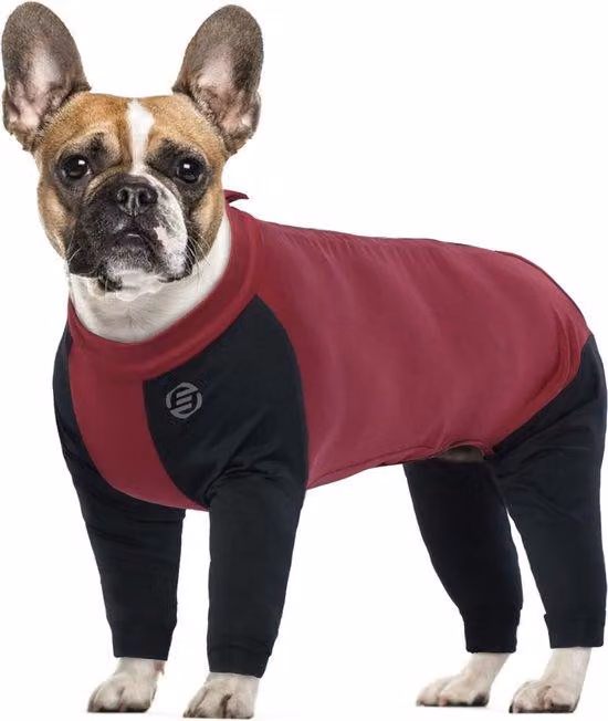 Biancheria da letto in spugna per cani di piccola taglia