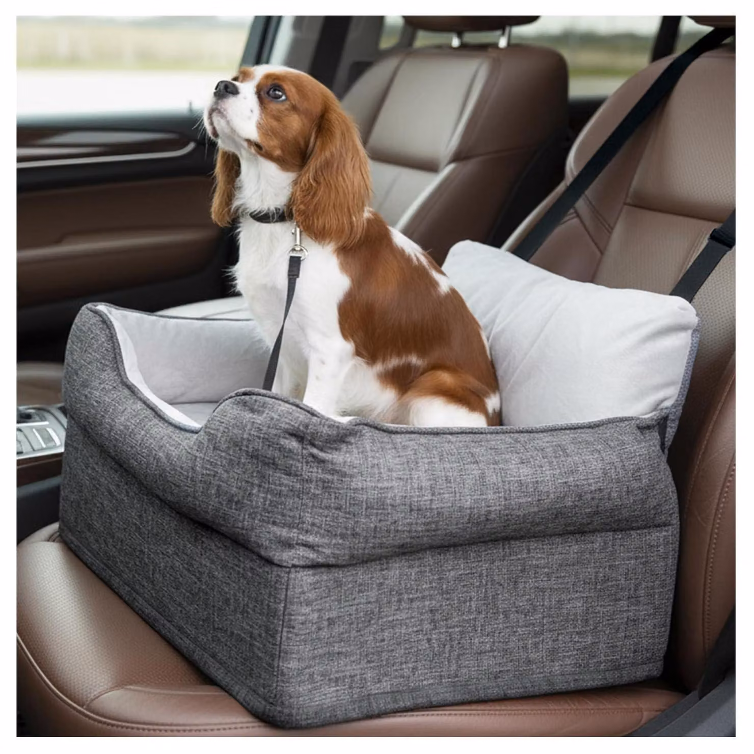 Seggiolino per cani, adatto a cani di piccola e media taglia fino a 14 kg, imbottito, colore grigio, dimensioni 50x50x40 cm