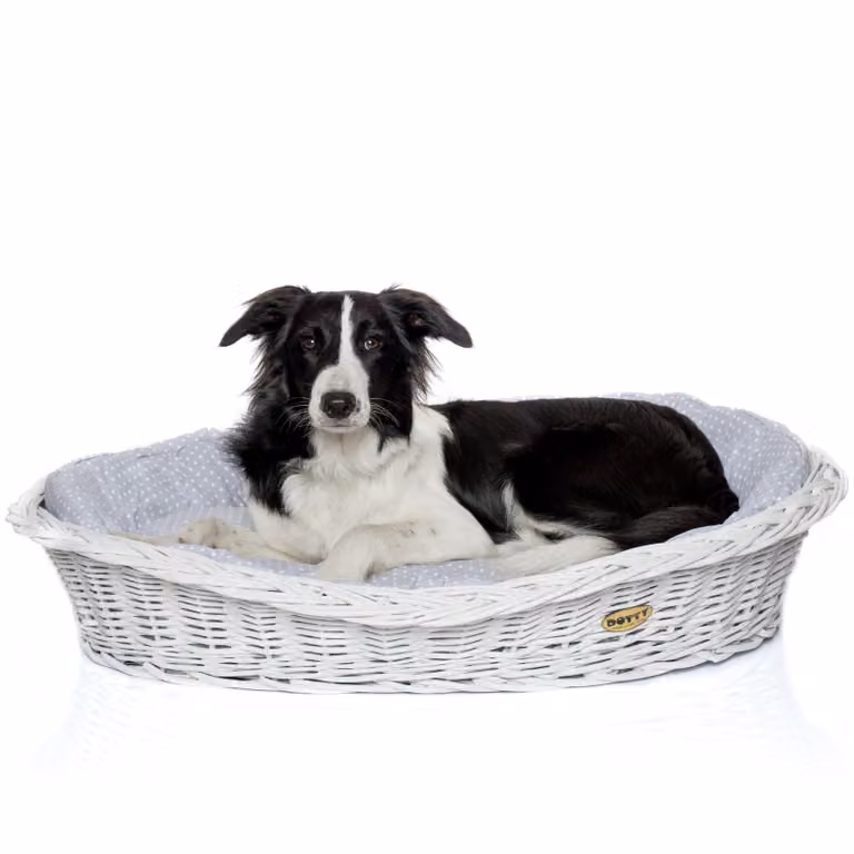 Cesto in vimini bianco sbiancato per cani Cesto Wiki con cuccia in cotone - Beige con motivo a scacchi - DOTTY