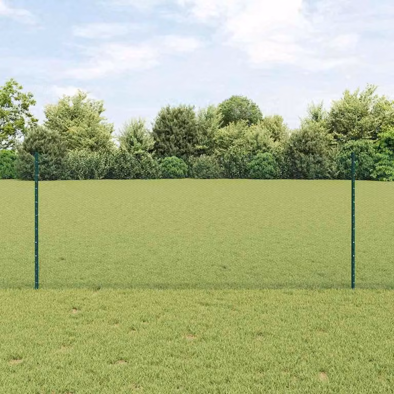 Maison Exclusive - Recinzione con Posto Verde 1 x 10 m Acciaio e PVC