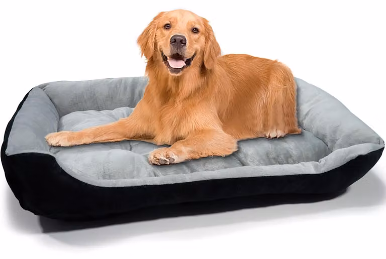 Cuccia per cani lavabile con base antiscivolo