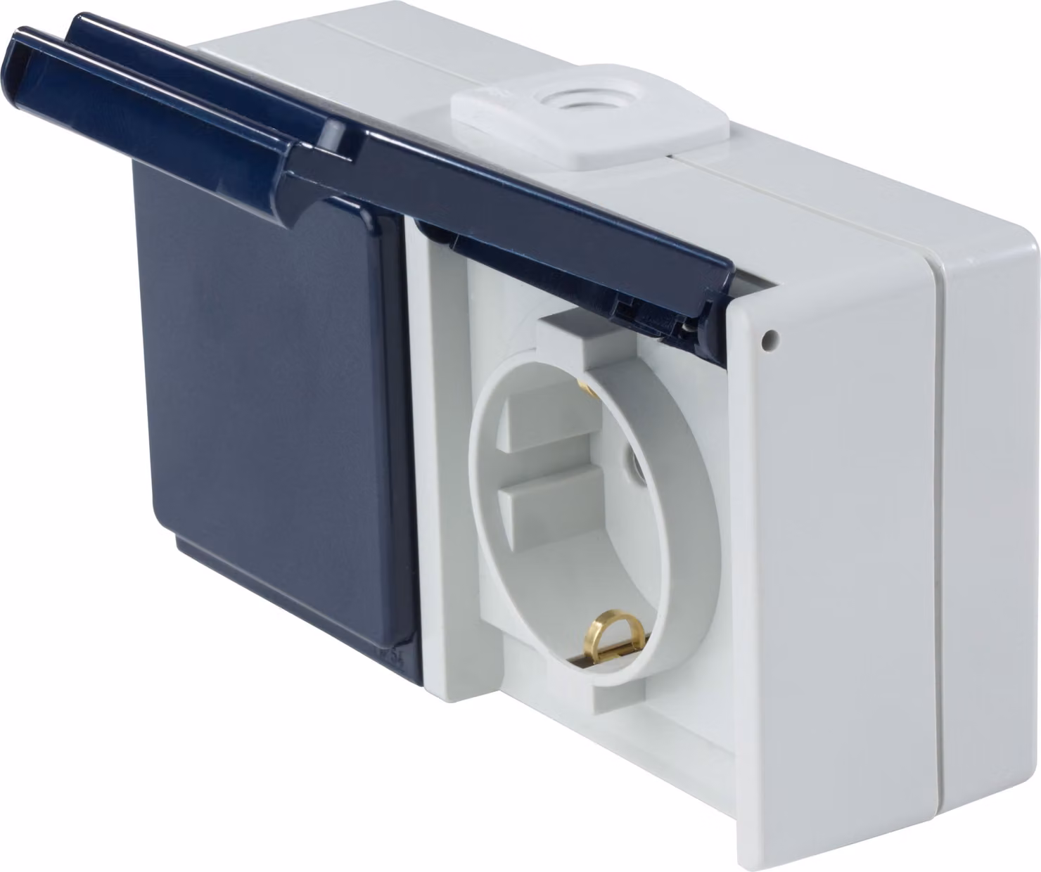 as-Schwabe 62463 Presa di corrente, orizzontale a 2 vie, 2 entrate cavi, IP 54