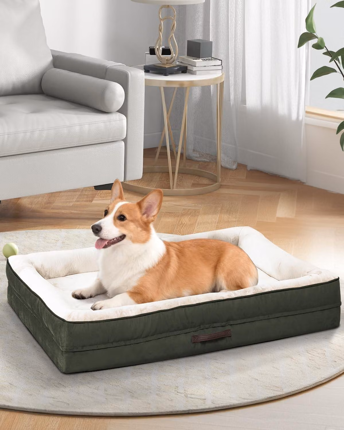 Letto ortopedico per cani di grossa taglia - Lavabile e impermeabile - Colore verde oliva
