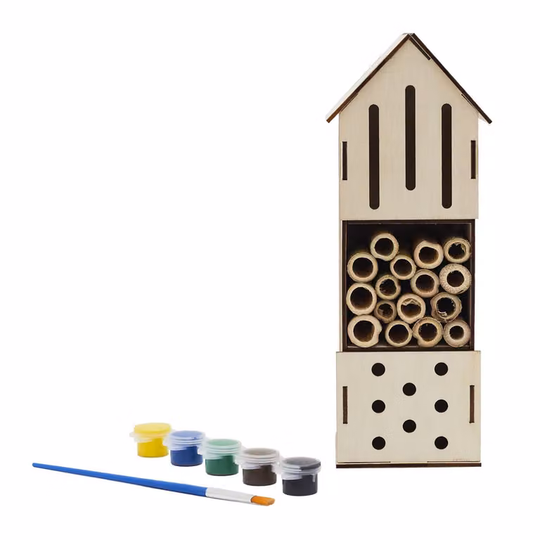 Kit artigianale di hotel per insetti con colori, casa delle api fai da te da costruire e dipingere, giocattolo creativo della natura