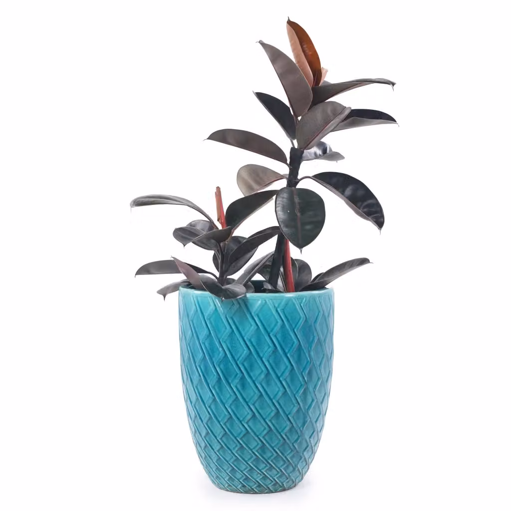 Vaso per piante Minimal in ceramica Cyan lucido per esterno e interno L: 42 cm, H: 54 cm – 2