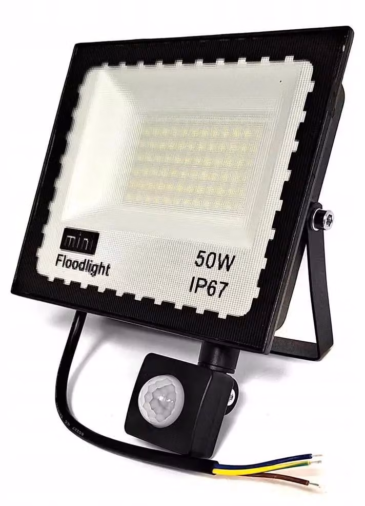 Luce da esterno a LED con rilevatore di movimento 50W DUSK IP65