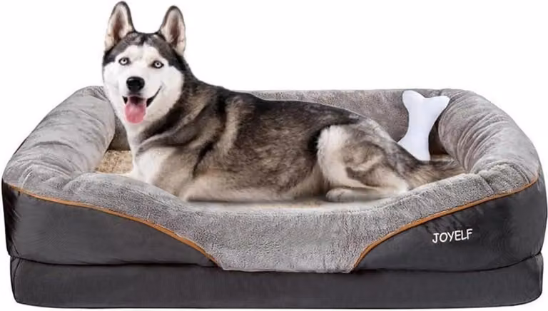 Letto per cani XXL Cani di taglia grande Letto ortopedico per cani Memory Foam Divano per cani con rivestimento sfoderabile e lavabile Giocattolo cigolante