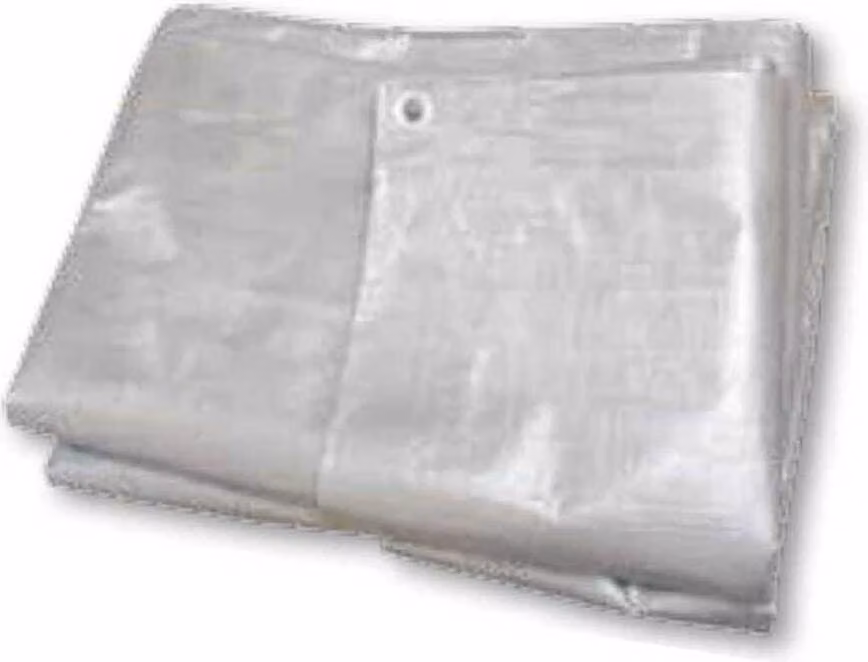Tenda da sole in tela Laliza argento 600 x 400 cm argento 600 x 400 cm