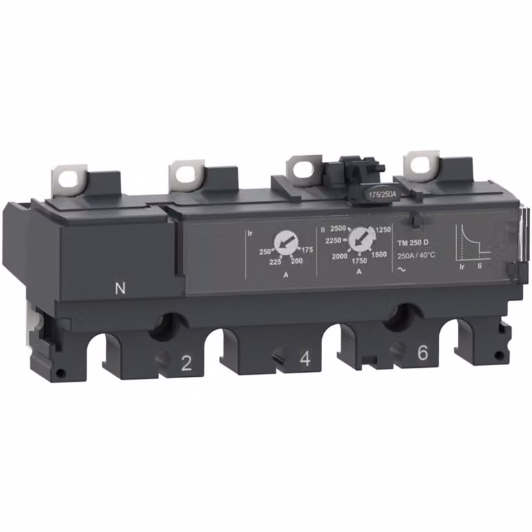 Dispositivo di sgancio termomagnetico Schneider Electric C256TM250
