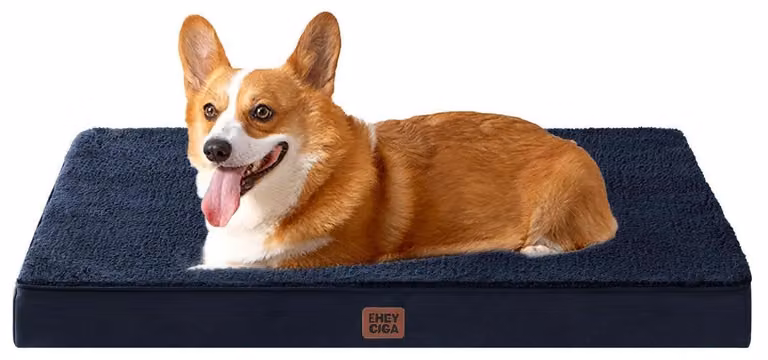 Cuccia ortopedica per cani, 89x58 cm, lavabile, colore blu navy, taglia L
