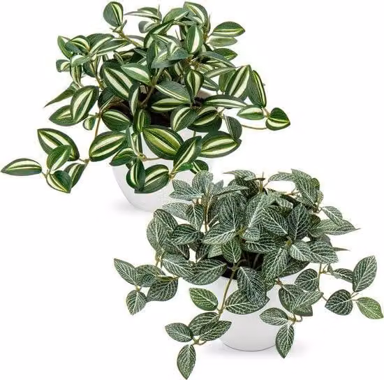 Set di piante artificiali composto da Pothos e Fittonia Albivenis, stile moderno, 18 cm, PU, per soggiorno, balcone, camera da letto, bagno