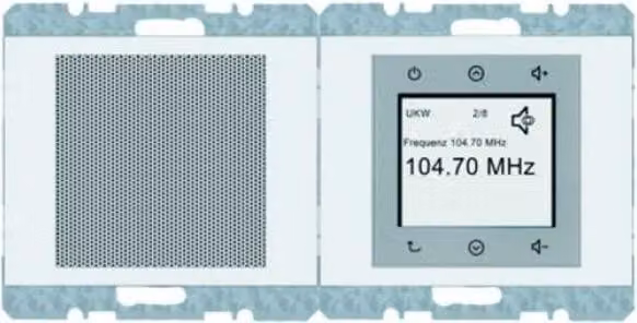 Berker K.1 RADIO DAB+/BT PW GLÄN (30807009 RADIO SET)