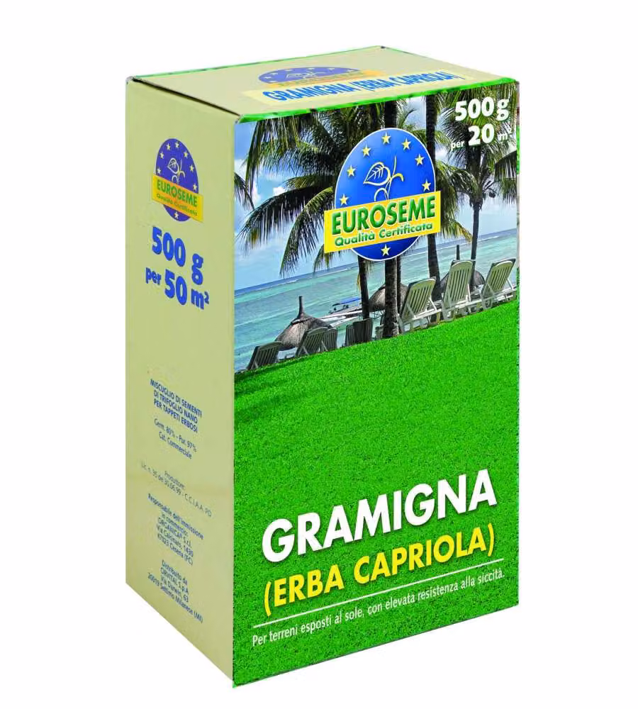 Euroseme Sementi Prato Gramigna - Resistente Siccità - 500g