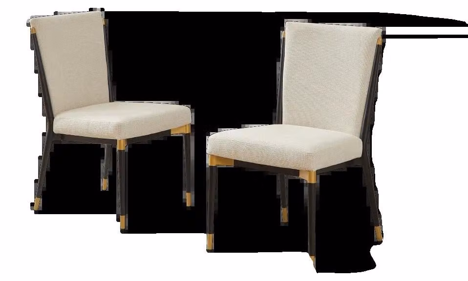 Sedia da pranzo, design salvaspazio, seduta confortevole, set da 2 pezzi