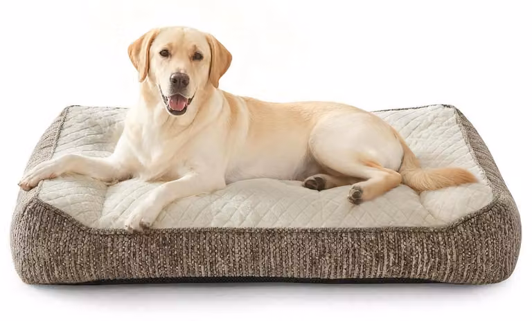 Cuccia ortopedica per cani di grossa taglia, ergonomica, lavabile, con rivestimento removibile, antiscivolo, con bordo rialzato, in pile con motivo a fiocchi di neve, dimensioni 97x71x22 cm, color beige