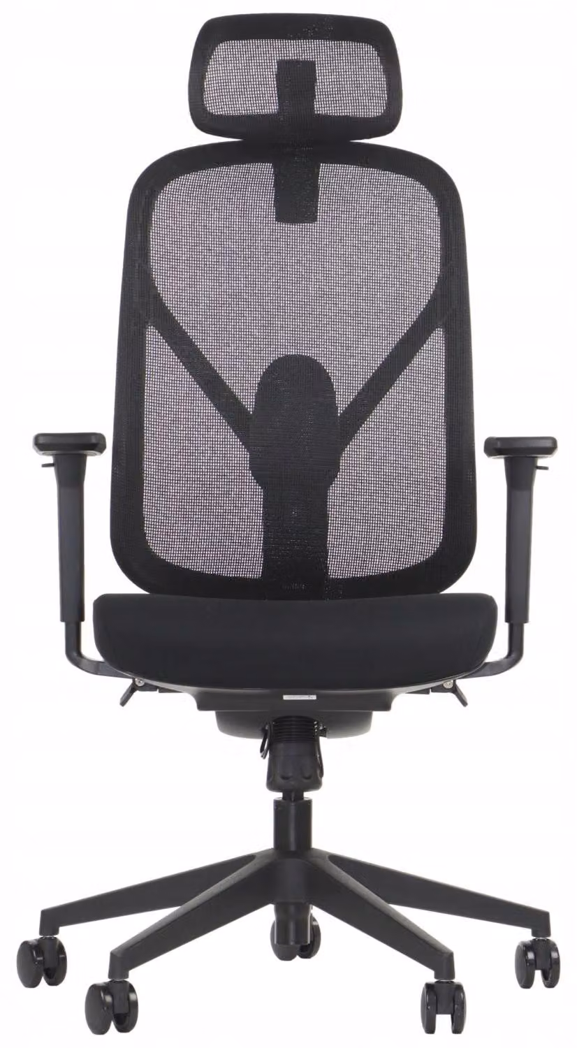 Sedia girevole ergonomica da ufficio LARCK, base in nylon, braccioli regolabili, poggiatesta, schienale e supporto lombare, estensione del sedile, nero