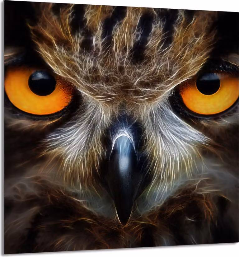 GLASPLATTE FÜR KÜCHE 60x65 Eule