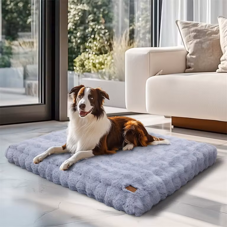 WISFOR letto per cani divano per cani materasso per cani cuscino in peluche, rivestimento impermeabile lavabile rimovibile XL: 105 x 70 x 12 cm, grigio