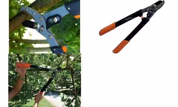 Garden PRIMUS 1105 Forbici da potatura da donna Garden PRIMUS, lunghezza: 470 mm