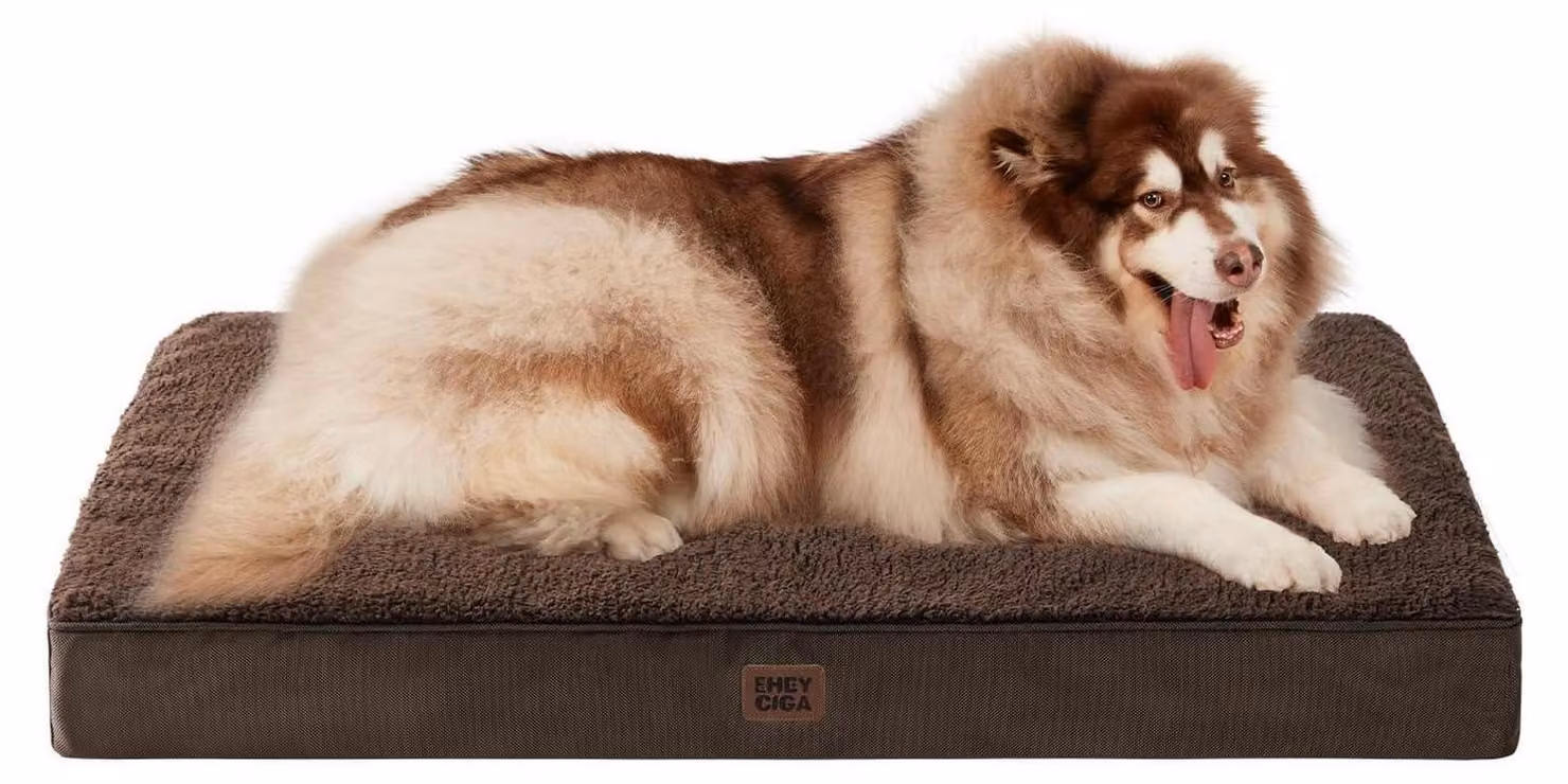 Cuccia ortopedica per cani, taglia XXL, 120x74 cm, lavabile, color marrone