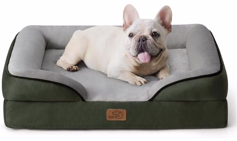 Cuccia ortopedica per cani, divano ergonomico per cani, 71x58 cm, colore verde pino