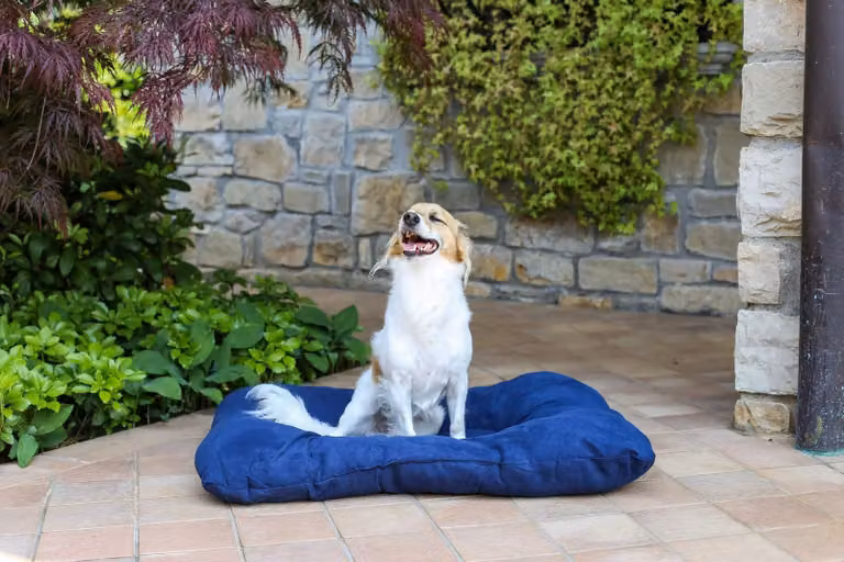 Cuscino imbottito per cani e gatti, 77 x 60 cm